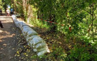 Megkezdődik a Szirom utcai partfal megerősítése