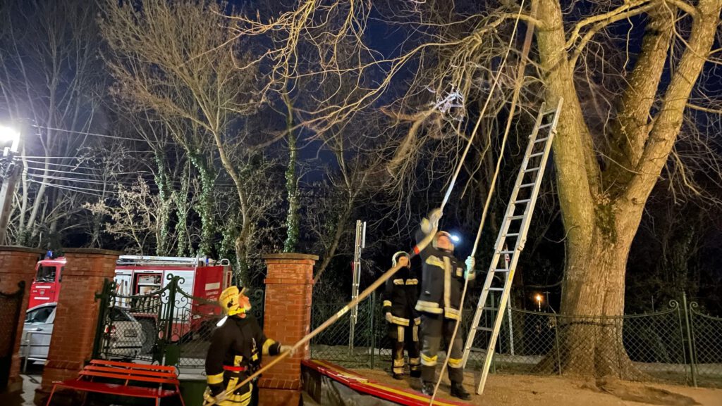 Letört egy vastag faág az iskola udvarán Leányfaluban