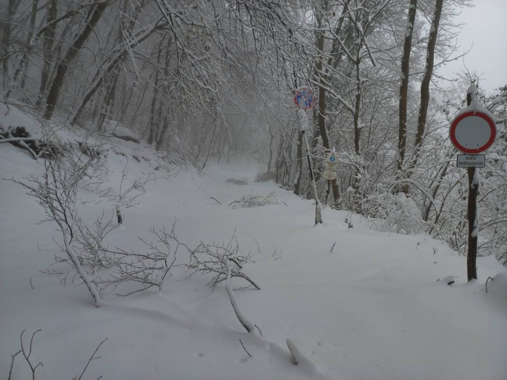 A havazás miatt a Pilisi Parkerdő erdeiben nem ajánlott túrázni