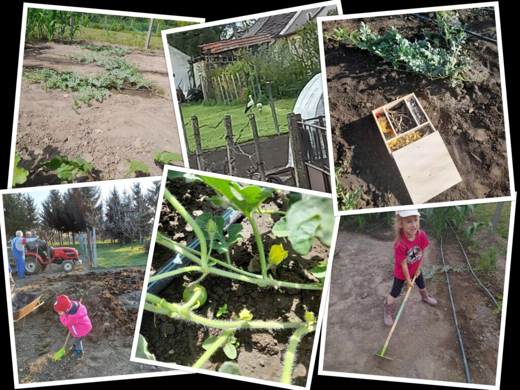 Kertelj Te is Kiskertet!