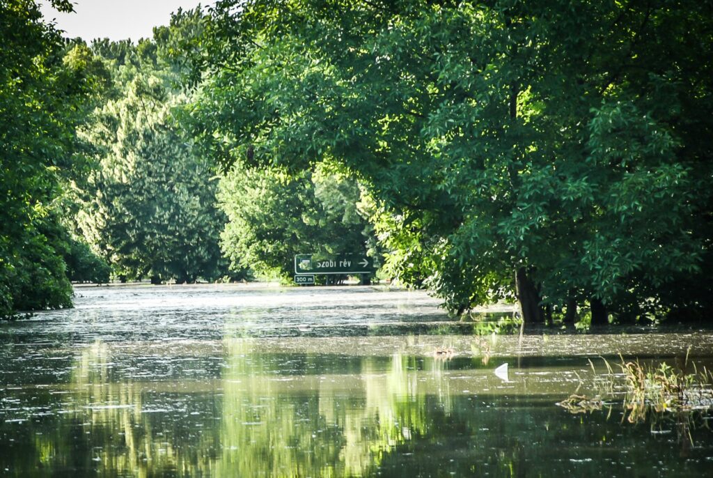 Árvízvédelmi intézkedések a Pilisi Parkerdőnél
