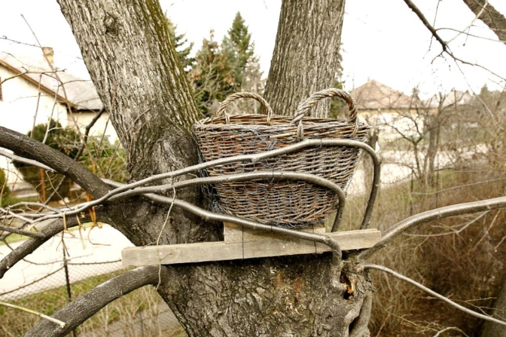 Költőládák kihelyezésével segítjük a településlakó, rágcsálópusztító baglyok költését