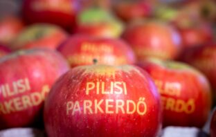 A főváros és az agglomeráció erdőivel kapcsolatosan szerveztek találkozót