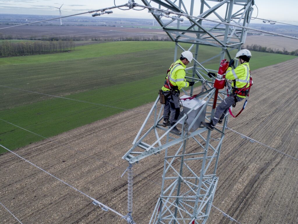3200 fészekkel várja a gólyákat az E.ON