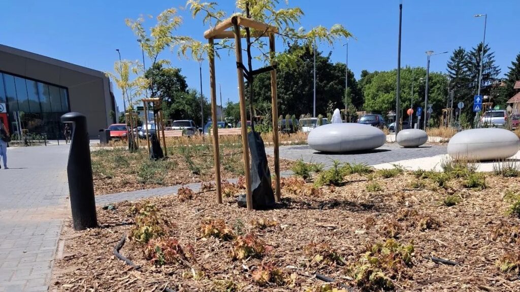 Vízmegtartás érdekében ágdarálékkal védik a növényeket Szentendrén