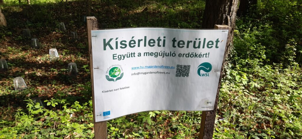 A Pilisi Parkerdő az erdők jövőjét kutató európai programhoz csatlakozott