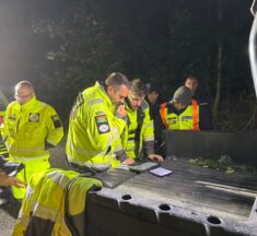 Élve találták meg a Visegrádi-hegységben eltűnt 87 éves