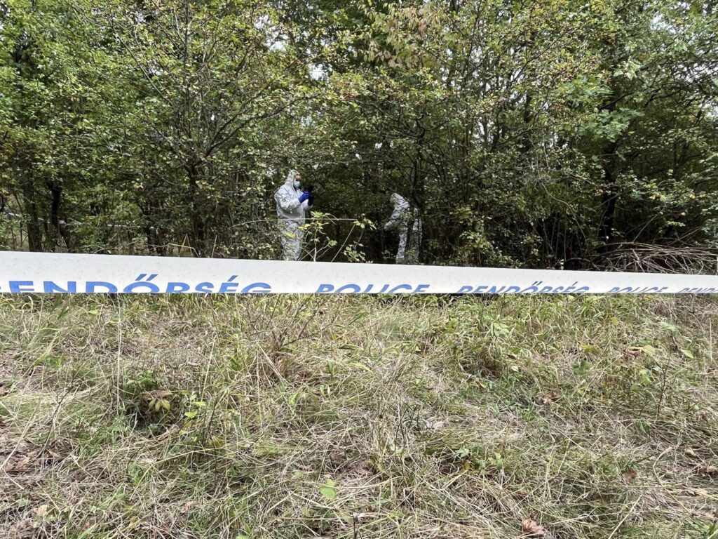 Záróközleményt adtak ki Kaszás Nikolett keresésével kapcsolatban