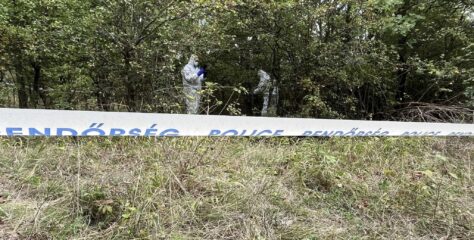 Záróközleményt adtak ki Kaszás Nikolett keresésével kapcsolatban