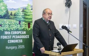 Százezer gyermek tanulja meg a természet tiszteletét az erdei iskolákban