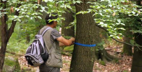 Közösségi alapú mintaprojekt indult a Pilisben