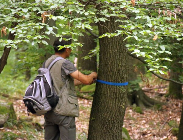 Közösségi alapú mintaprojekt indult a Pilisben