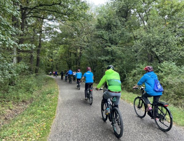 Társadalmi visszajelzések alapján újul meg a Pilis Bike