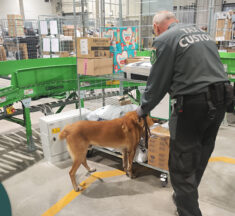 A postán sincs kiskapu