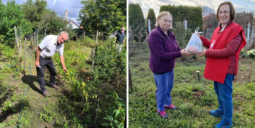Zöldellő kertek: a Katolikus Karitász közel tízezer embernek nyújtott támogatást
