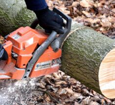 Faápolás, favágás miatt forgalomkorlátozás lesz Leányfaluban