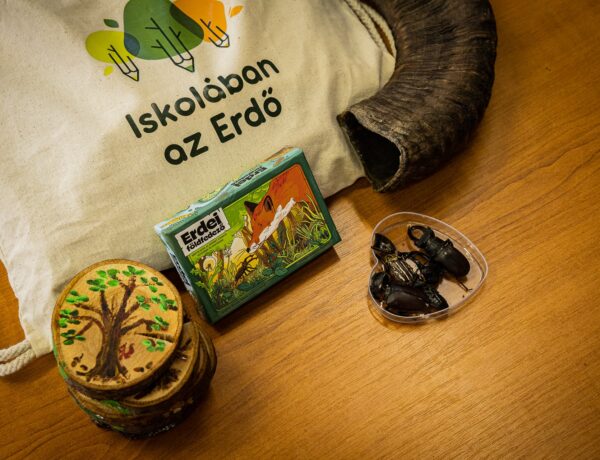 Indul a regisztráció a 2026-os Iskolában az Erdő Programra
