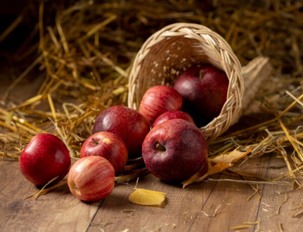 Figyelem: a rémhírekkel ellentétben a magyar alma biztonságos és kiváló minőségű