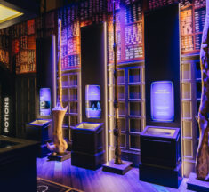 Varázslatos világ nyílt Szentendre határában – megnyílt a Harry Potter-kiállítás