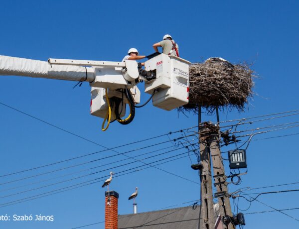3300 fészek várja a gólyákat az E.ON áramhálózatán