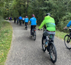 Tavasz végére felújított erdei úton tekerhetnek a kerékpárosok Visegrád–Pap-rét között