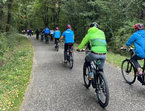 Tavasz végére felújított erdei úton tekerhetnek a kerékpárosok Visegrád–Pap-rét között