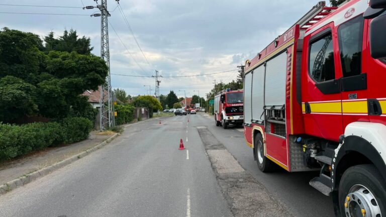 Halálos gázolás történt Szentendrén, meghalt az idős hölgy